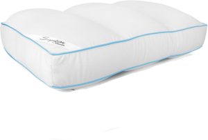 Cloudz Signature Microbead Pillow