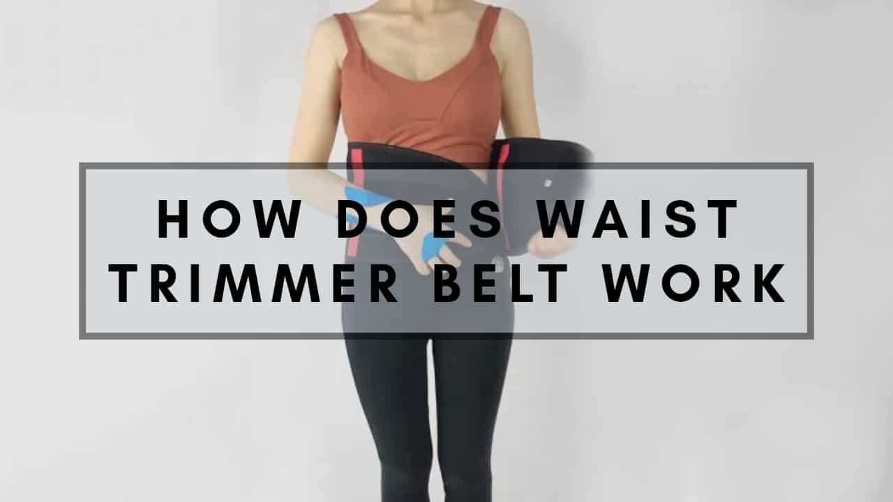 waist trimmer belt