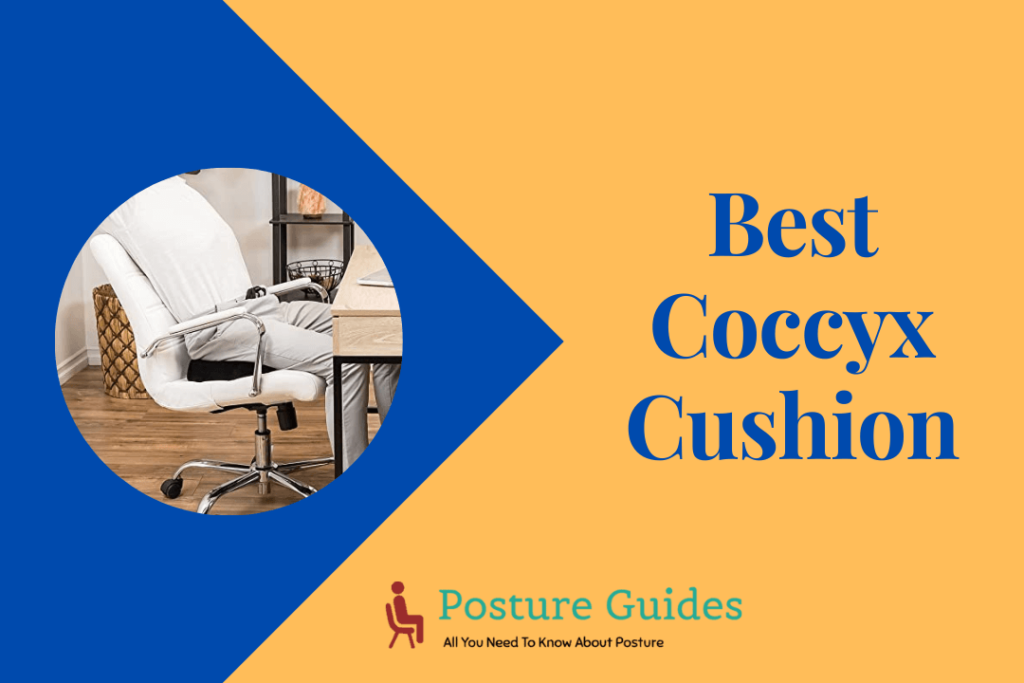 Best Coccyx cushion