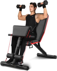 BILLNA Adjustable Weight and Sit Up Bench
