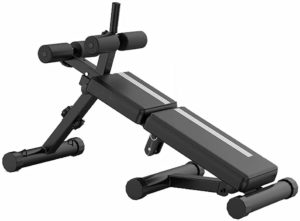 WZR Adjustable and Foldable Sit Up Bench